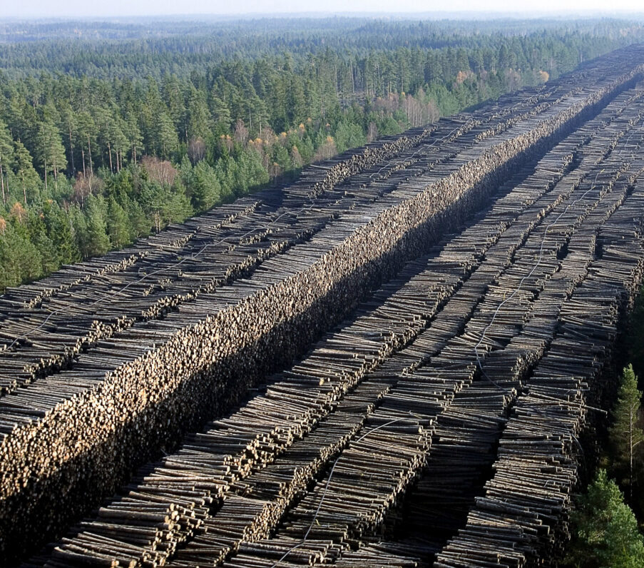 Holzlager-Bretter_Gudrun 1 mio m3 klein